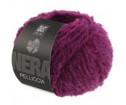 Pelliccia